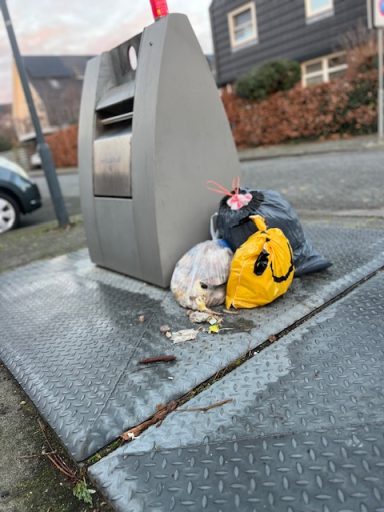 Vuilniszakken liggen op de grond bij een afvalcontainer.
